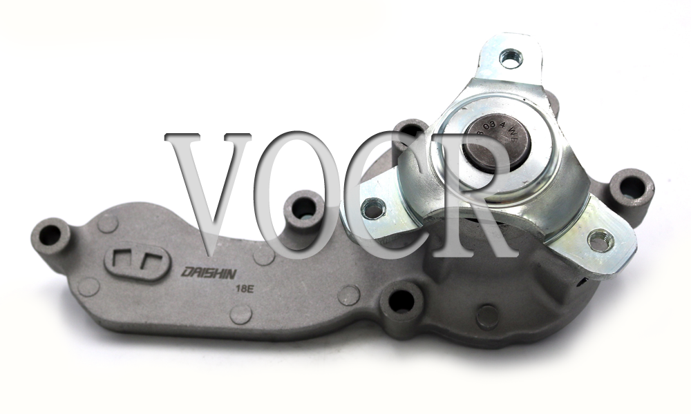 Water Pump For Honda CR-Z DS060161 LDA3