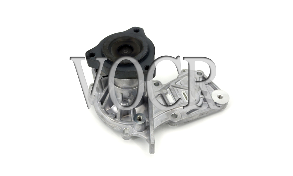  Water Pump For Ford Kuga DS060194 CAF6450A54.GTDIQ4